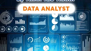 Lộ Trình Trở Thành Data Analyst Theo Chuẩn Quốc Tế Cole.vn