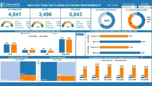 Trực Quan Dữ Liệu, Làm Báo Cáo Excel Dashboard 2024