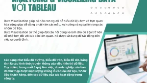Khóa học Nordiccoder Analysing & Visualizing Data với Tableau