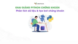 Khóa Học Python Phân Tích Dữ Liệu & Tạo Bot Chứng Khoán Mới Nhất Cùng Vnstock