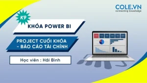 Khóa Học Power Bi Từ Cơ Bản Đến Chuyên Sâu - COLE.VN
