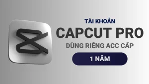 Capcut Pro 1 năm - Tài khoản dùng riêng