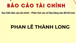 Đọc Hiểu Và Phân Tích Báo Cáo Tài Chính - Phan Lê Thành Long