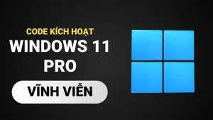 Windows 11 Professional - CD Key