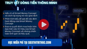 Khoá Học SMC Tinh Gọn Cùng VnRebates
