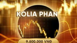 Khoá Học Phân Tích Vĩ Mô Cơ Bản của Kolia Phan