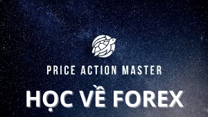 Khóa học Price Action Master – Học Trade Forex & Crypto cùng Medio