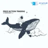 Price Action Trading - Chiến Lược Giao Dịch Hiệu Quả từ NhaduhanhFX
