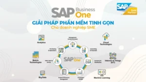 Khoá Học ERP Của Doanh Nghiệp SME - SAP Business One Cho Người Mới