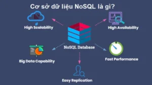 Học Cơ Sở Dữ Liệu SQL Và NoSQL Cho Người Mới Bắt Đầu